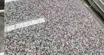 张家界 芙蓉白光面