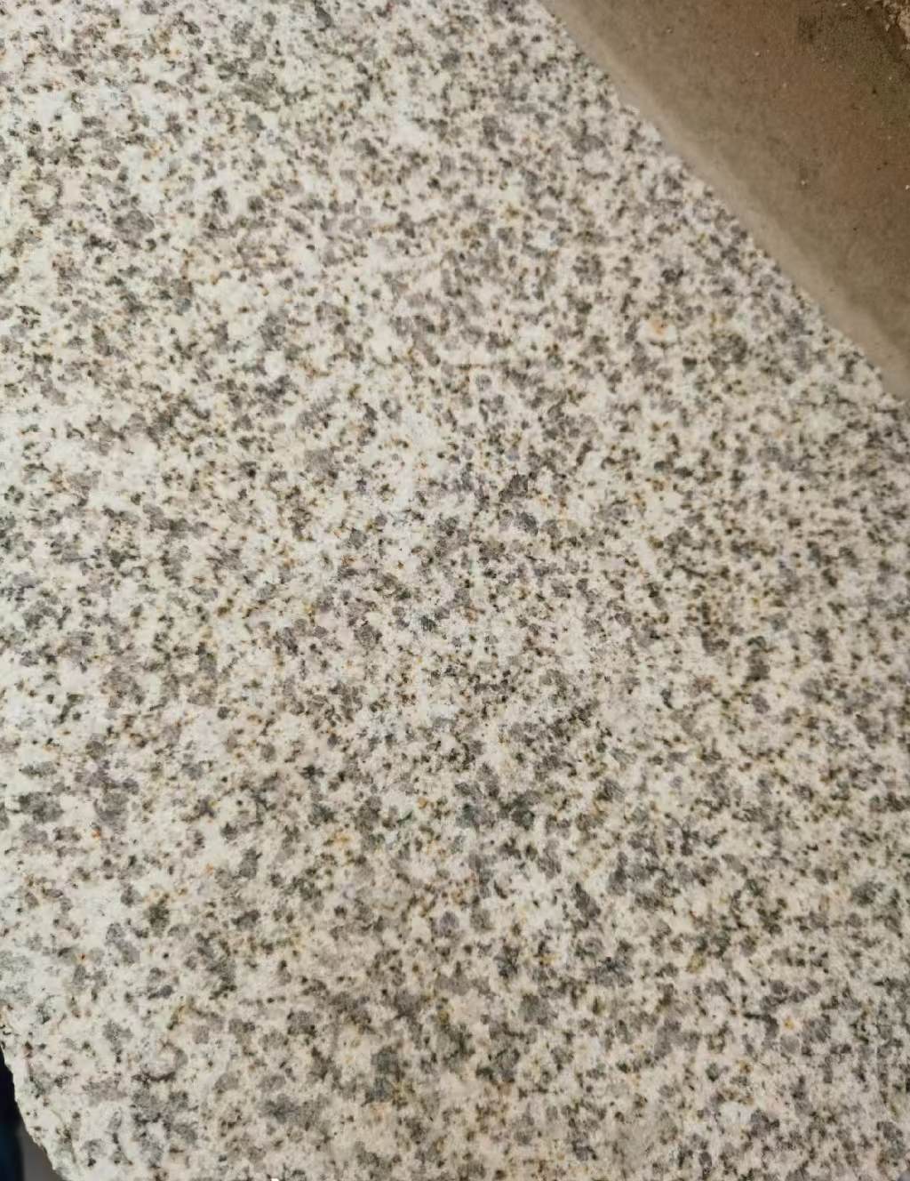 张家界 黄金麻中黄光面
