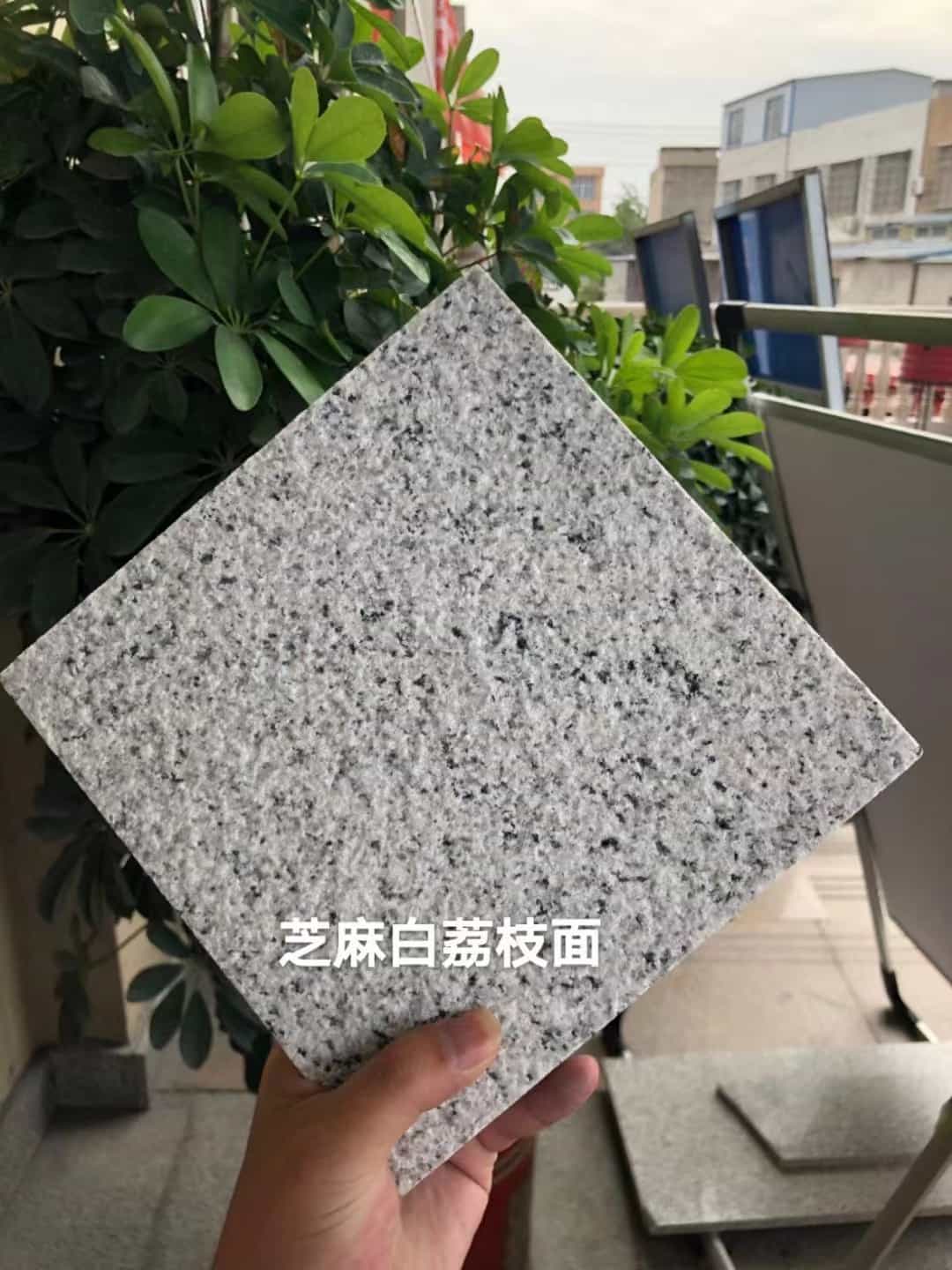 张家界 芝麻白荔枝面干挂
